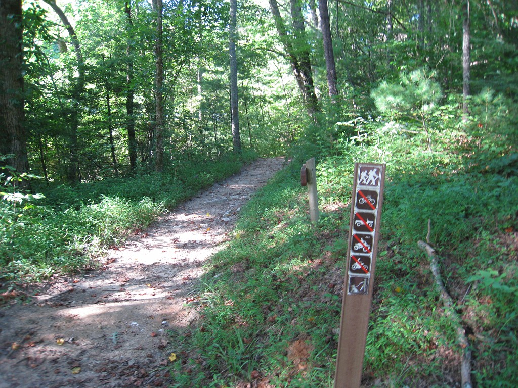 Helen to Unicoi 2010 0400.jpg - Not much to do here... no bikes, no jeeps, no ATV's, no dirt bikes... you can walk alone or in a group, or walk with your dog.